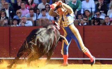 Paco Chaves banderilleando en La Maestranza. (FOTO:Sevilla Taurina.com)